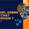 Quel arbre à chat choisir ?