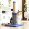 Griffoir Massant avec Balle pour Chat