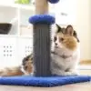 Griffoir Massant avec Balle pour Chat