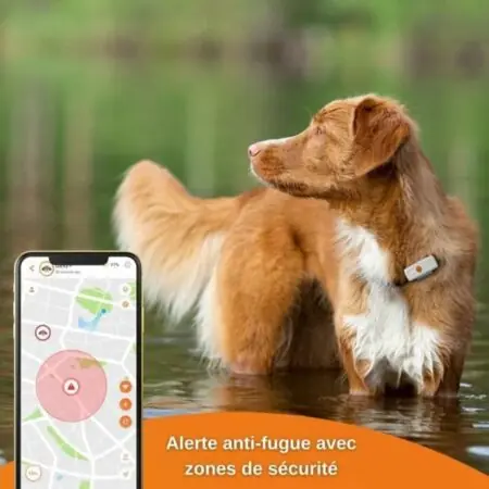 Collier chien Anti-perte Weenect XS GPS