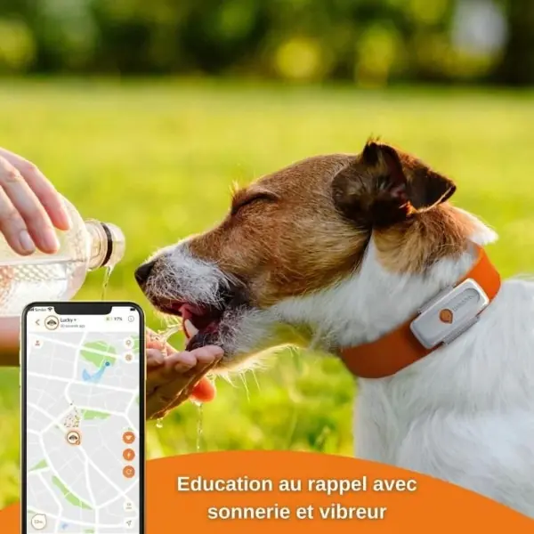 Collier chien Anti-perte Weenect XS GPS