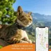 Collier chat Anti-perte Weenect XS GPS Noir