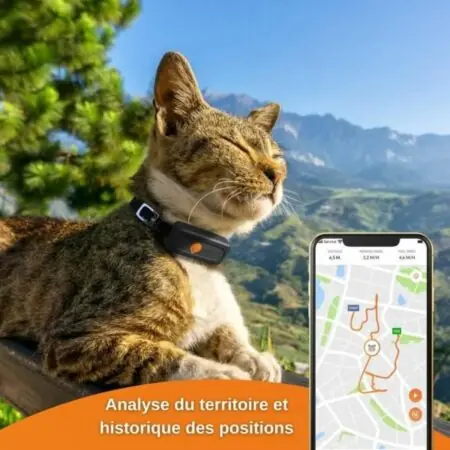 Collier chat Anti-perte Weenect XS GPS Noir