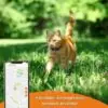 Collier chat Anti-perte Weenect XS GPS Noir